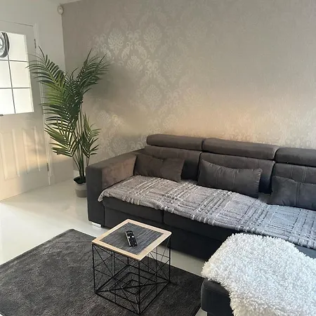 Apartment Black Daisy *