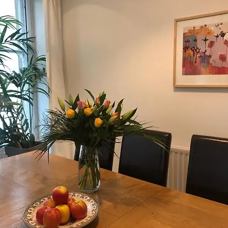 Comfy Two Bedroom Right In The City Center