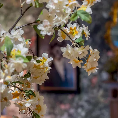 Pass The Keys Magical Mews Hideaway: Quirky Experience Holiday home *