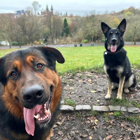 Large Cosy In G3 Homestay