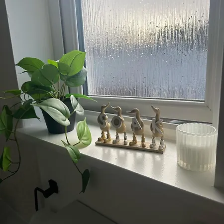 Black Daisy Apartment *