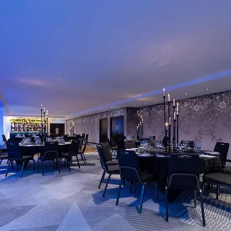 Radisson Blu Hotel, מלון 4*