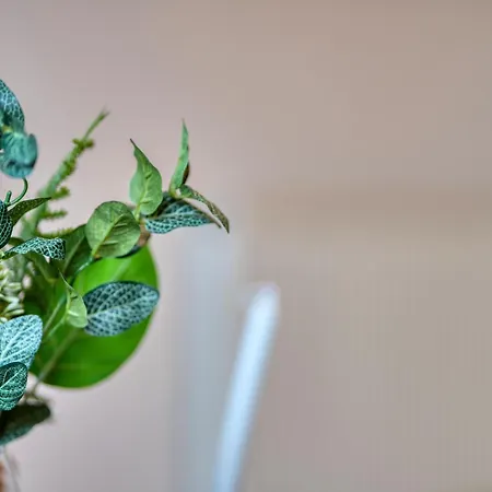 Bright 2 Bedroom With Free Parking Apartament *