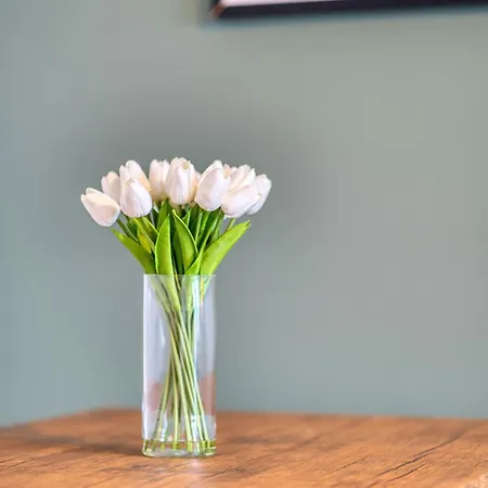 Bright 2 Bedroom With Free Parking Apartament Glasgow