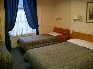 The Willow