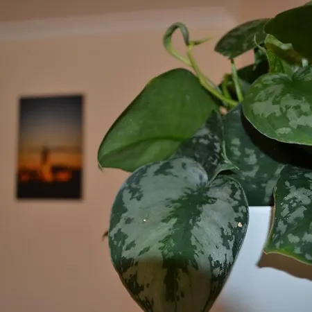 公寓 In Heart Of West End- Parking Space- Spacious- Near And Kelvingrove Art Gallery 格拉斯哥