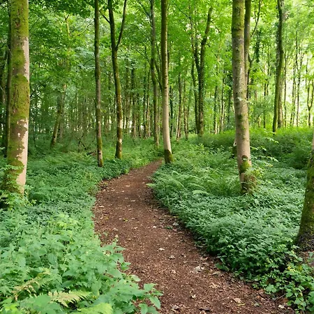 Cosy Cute With Large Veranda & Outdoor Bath