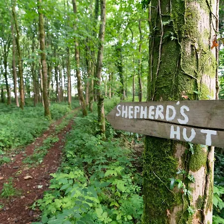 Cosy Cute With Large Veranda & Outdoor Bath Glasgow