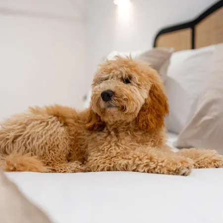 Stylish And Luxe 1 Bed - Prime West End * غلاسغو