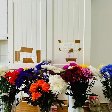 Single With Basic Amenities Glasgow