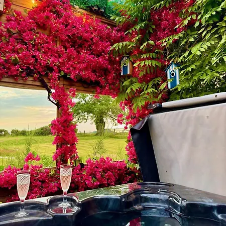 Finn Village - Loch Lomond - The Jungle With A Private Hot Tub 4* Drymen