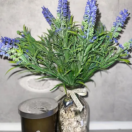 Villa Luxury House In