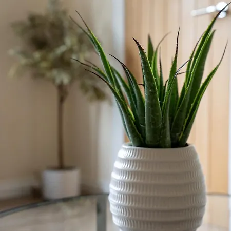 3 Bdr Flat By Caledonia Luxe Short Lets & Serviced * グラスゴー