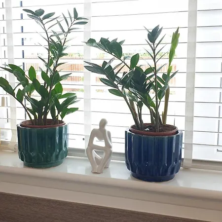 דירה Entire Spacious 3-bed Family Home, Centre, Free Parking, Garden *