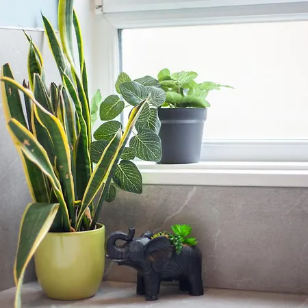 Apartment Newly Renovated Flat In Trendy Finnieston