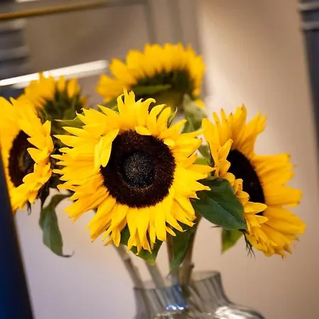 Vakantiehuis The Burnbank Experience *