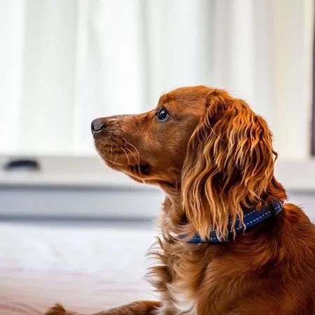 Ibis Styles Отель 3*