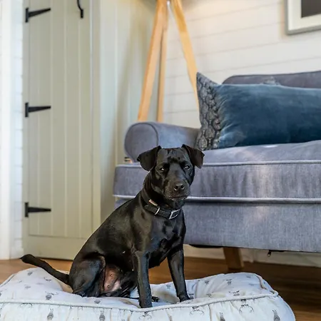 Luxury Glamping Pods - The Heft & The Hirsel Διαμέρισμα Γλασκώβη