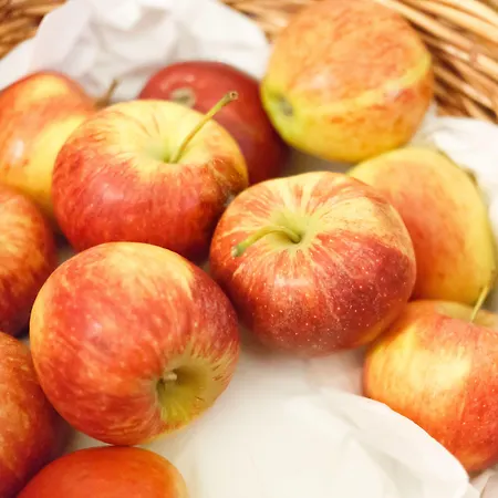 Guest house The Belhaven