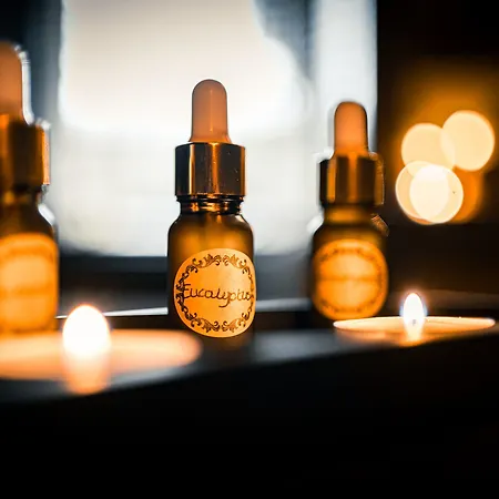 The Alamo 4* Glasgow