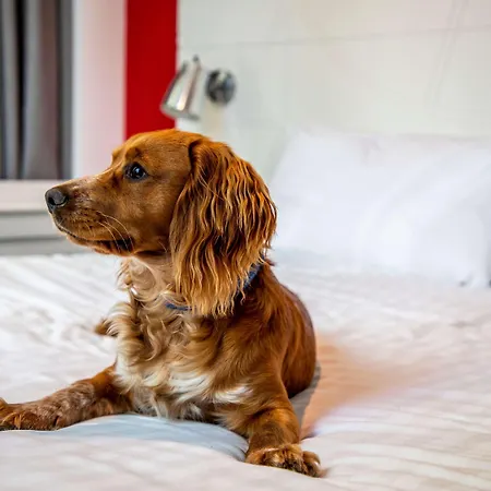 Szálloda Ibis Styles Glasgow