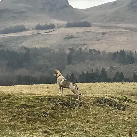 The West Highland Way And And Pitches 5*