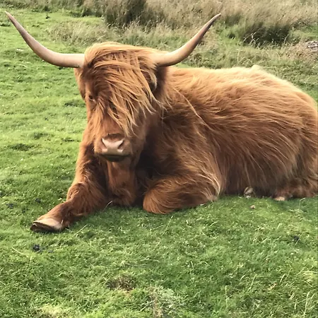 The West Highland Way And And Pitches Hotel Glasgow