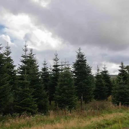 Edenmill Farm * Glasgow