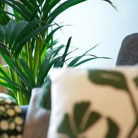 公寓 2bed East End Gem With Free Parking 格拉斯哥