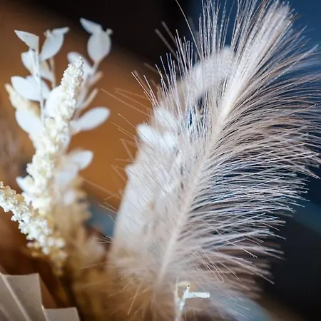 Apartman 2br With Parking Near Southside And Queens Park *