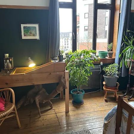 ホームステイ Large Cosy In G3
