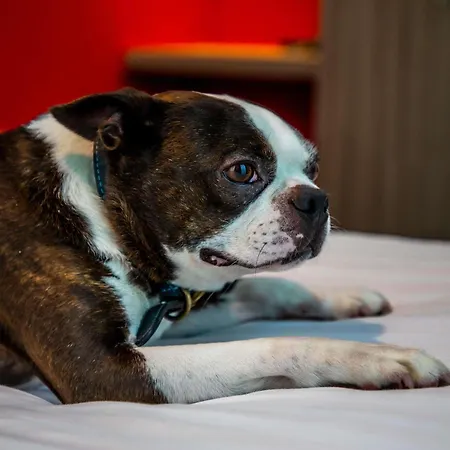 Ibis Styles Hotel Glasgow