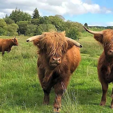 The West Highland Way And Retreat Hotel