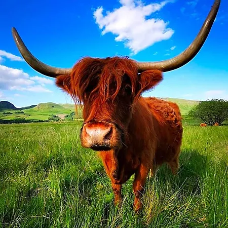 The West Highland Way And Retreat Hotel 5*