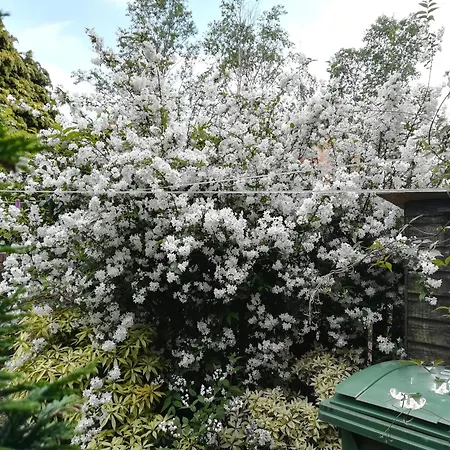 Pi-garden House - 4 Double Bedrooms - Free Optic Fibre Wifi And Parking *