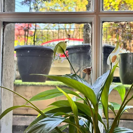 The Botanics * Glasgow