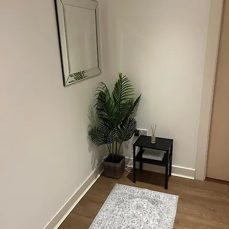 Bright Modern *