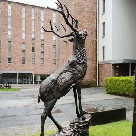 Foundry Courtyard By Utdm Glasgow