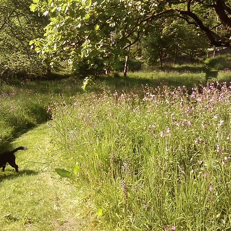 Bed & Breakfast Finglen House Clachan of Campsie