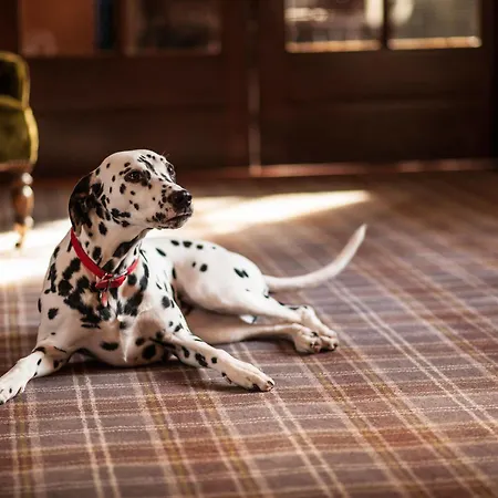 West By Compass Hospitality グラスゴー