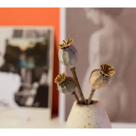 Beautifully Kept Mezzanine Flat ★school Of Art★ Apartment *