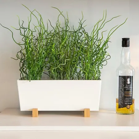 32 Victoria Crescent Road *