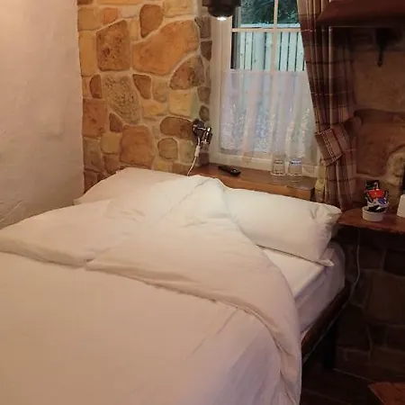 Birchwood Guest 3*