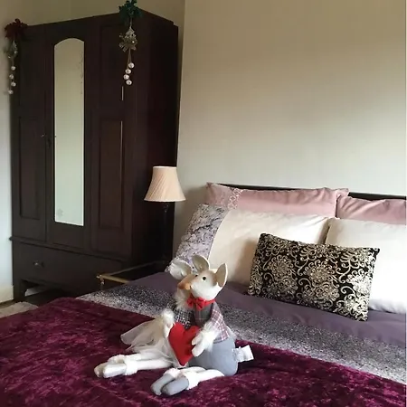Apartment Free Parking Fabulous Victorian 2 Bed Next To Glasgow's Park Glasgow