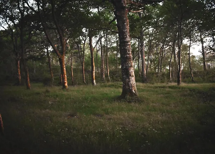 شقة At Loch Lomond *