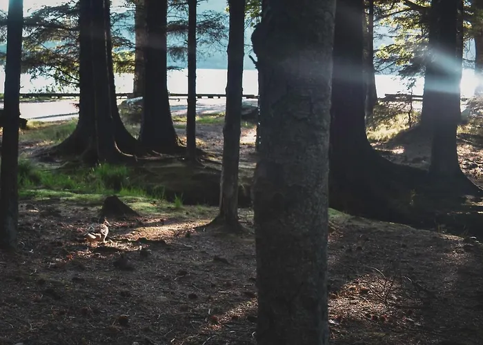 At Loch Lomond 公寓 格拉斯哥