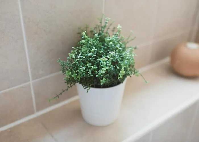 Lovely 2-bed Flat Harbour Free Parking - Pass The Keys Lägenhet *