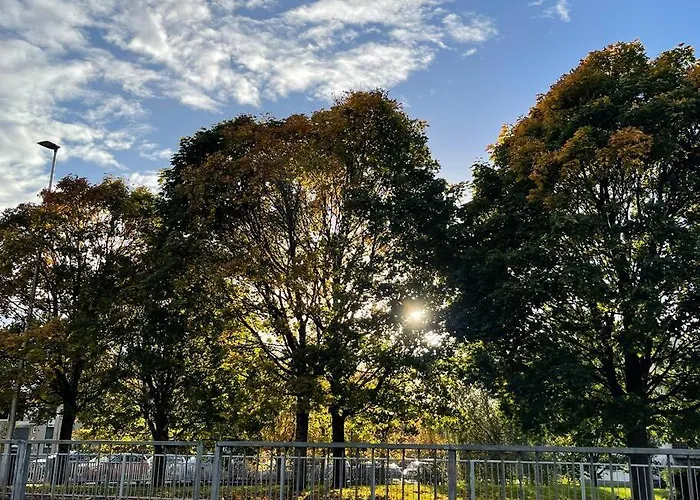 Apartman Traditional Close To Centre & Hampden