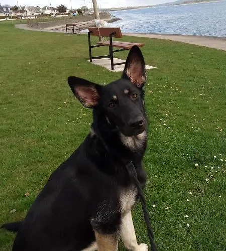 Séjour chez l'habitant Large Cosy In G3 *