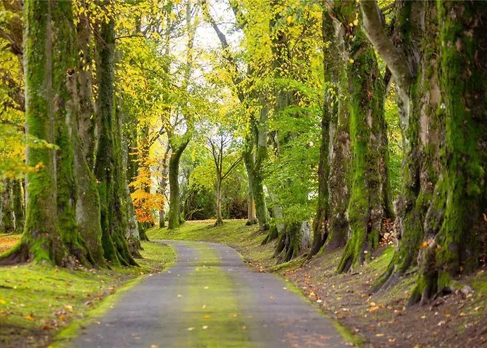 Park Of Drumquhassle 3*